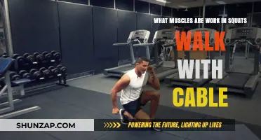 Cable Squat Walk Muscles: Targeted Activation and Benefits Explained