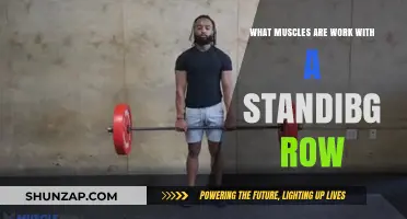 Standing Row Muscles: Targeted Back, Arm, and Core Activation Explained