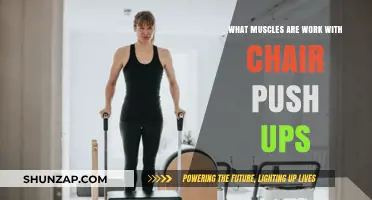 Chair Push-Ups: Targeted Muscles and Benefits for Upper Body Strength