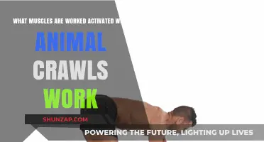 Animal Crawls: Unlocking Full-Body Muscle Activation and Strength
