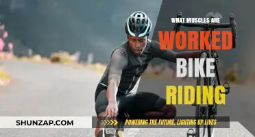 Muscles Engaged: Unlocking the Full-Body Benefits of Bike Riding