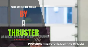 Thruster Workout: Muscles Targeted and Benefits Explained