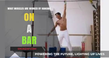 Hanging on a Bar: Muscles Engaged and Strengthened Explained