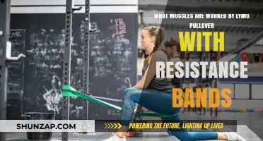 Resistance Band Pullover: Targeted Muscles and Benefits Explained