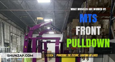 MTS Front Pulldown: Targeted Muscles and Benefits Explained