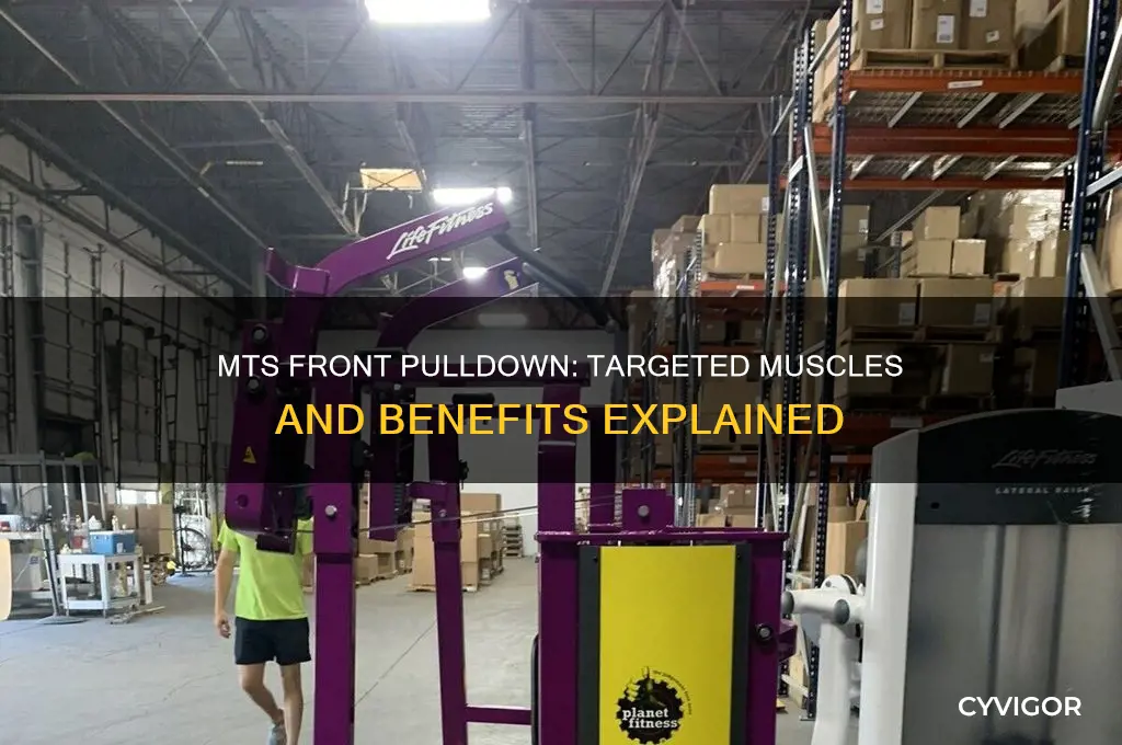 what muscles are worked by mts front pulldown