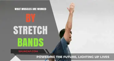 Stretch Bands: Targeted Muscles for Full-Body Strength and Flexibility