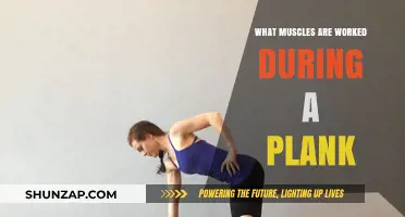 Plank Power: Unlocking Core, Shoulder, and Leg Muscles in One Move