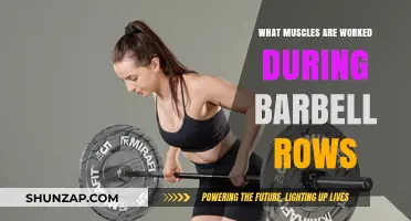 Barbell Rows: Targeted Muscles and Full-Body Strength Benefits