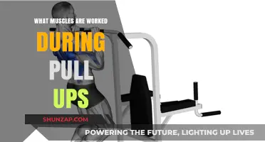 Pull-Up Power: Muscles Targeted and Strengthened in Every Rep