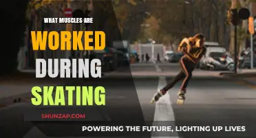 Muscles Engaged in Skating: A Comprehensive Guide to Strength and Balance