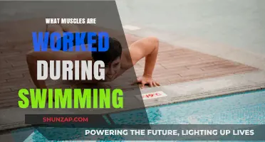 Swimming's Full-Body Workout: Muscles Engaged in Every Stroke