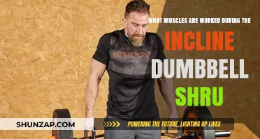 Incline Dumbbell Shrug: Targeted Muscles for Upper Back Strength