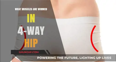 Strengthen Your Hips: Muscles Targeted in 4-Way Hip Exercises