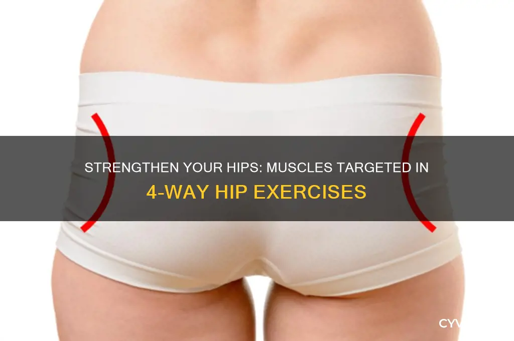 what muscles are worked in 4-way hip