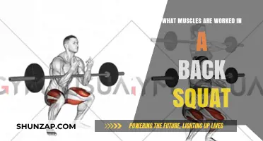 Back Squat Muscles: Unlocking Lower Body Strength and Core Engagement