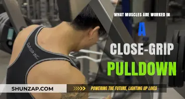 Close-Grip Pulldown: Targeted Muscles and Benefits Explained