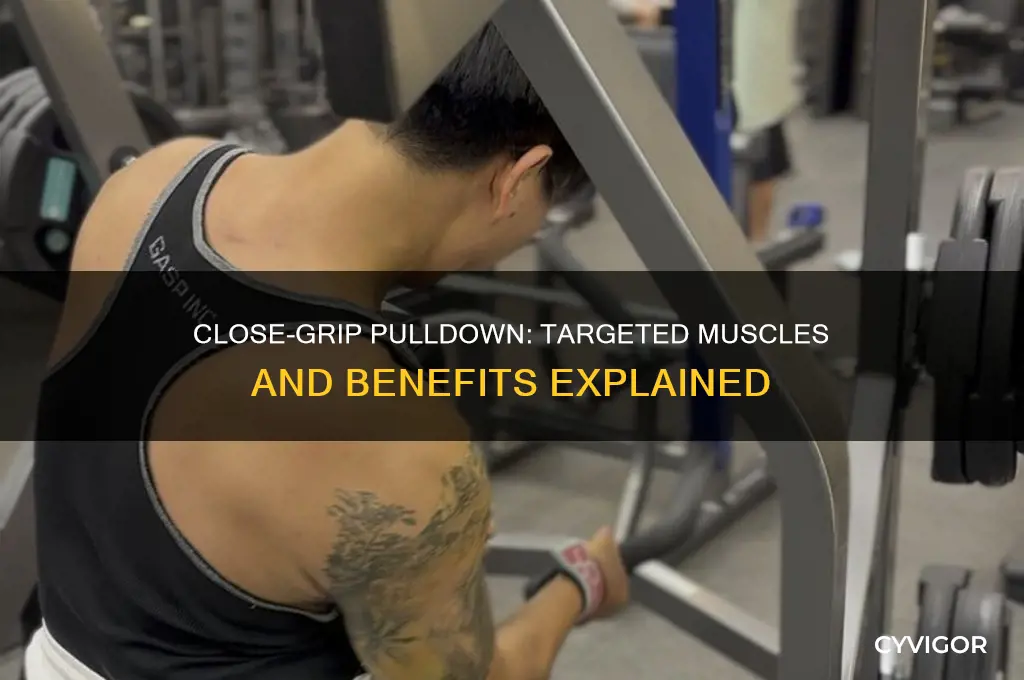 what muscles are worked in a close-grip pulldown