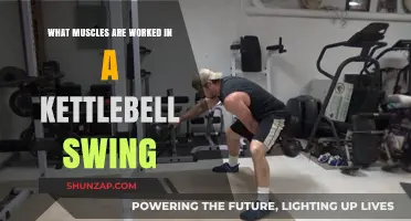 Kettlebell Swing Muscles: Core, Glutes, and Full-Body Activation Explained