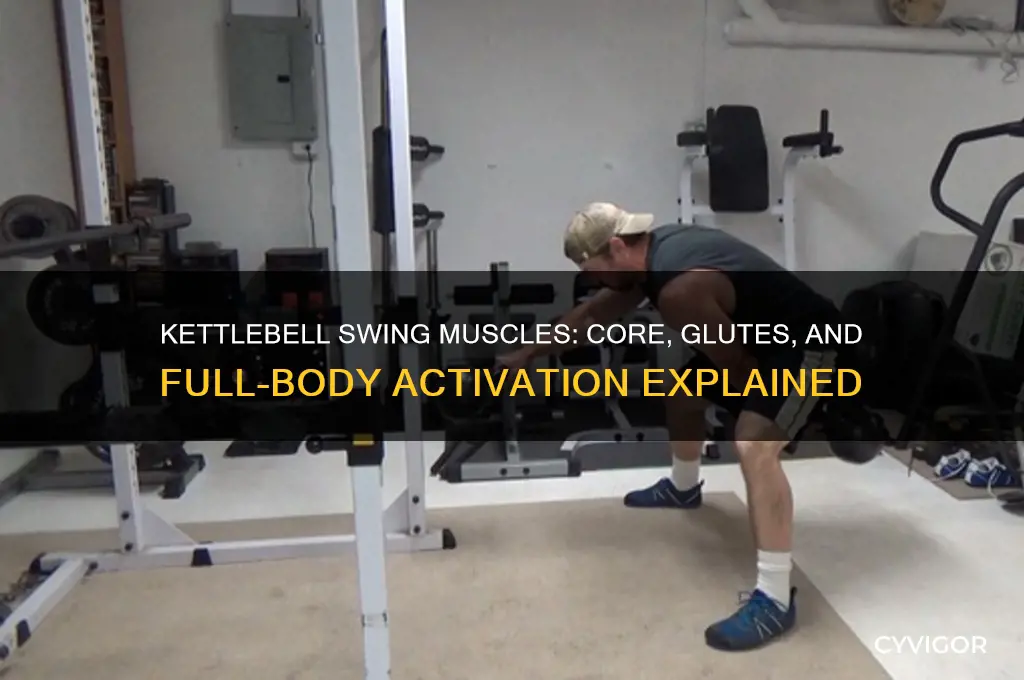 what muscles are worked in a kettlebell swing