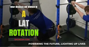 Lat Rotation Muscles: Targeted Areas and Benefits Explained
