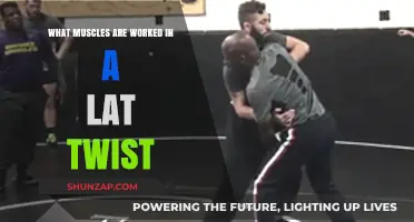 Lat Twist Muscles: Core, Obliques, and Back Engagement Explained