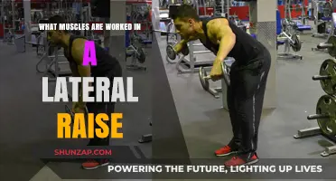 Lateral Raise Muscles: Targeted Shoulders, Arms, and Upper Body Workout