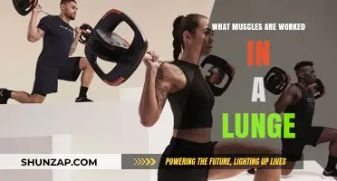 Muscles Targeted in Lunges: A Comprehensive Breakdown of Benefits