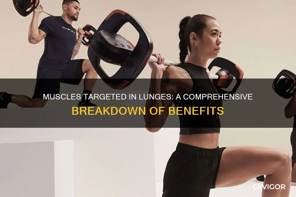 what muscles are worked in a lunge