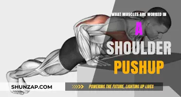 Shoulder Pushup Muscles: Targeted Strength Training for Upper Body Power