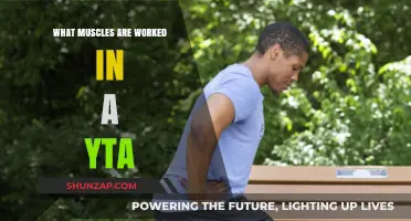 YTA Workout Breakdown: Muscles Targeted in Every Exercise