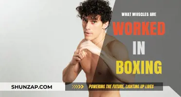Boxing's Muscle Power: Unveiling the Core and Upper Body Workout