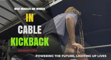 Cable Kickback Muscles: Glutes, Hamstrings, and Core Activation Explained