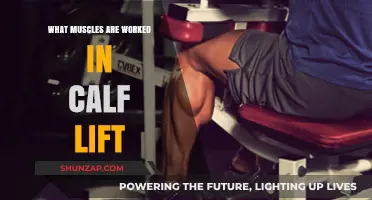 Calf Lift Muscles: Targeted Workout for Stronger Lower Legs