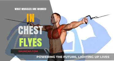 Chest Flyes: Targeted Muscles and Benefits for Upper Body Strength