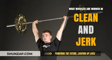 Clean and Jerk Muscles: Full-Body Power and Strength Breakdown