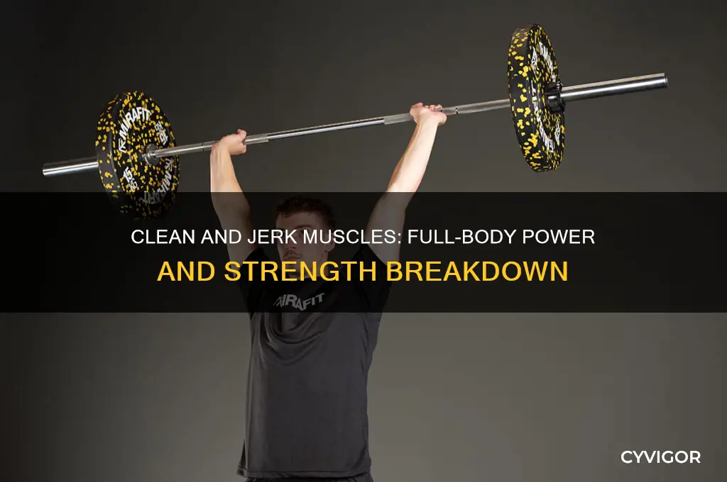 what muscles are worked in clean and jerk