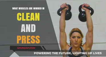 Clean and Press: Muscles Targeted in This Full-Body Compound Lift