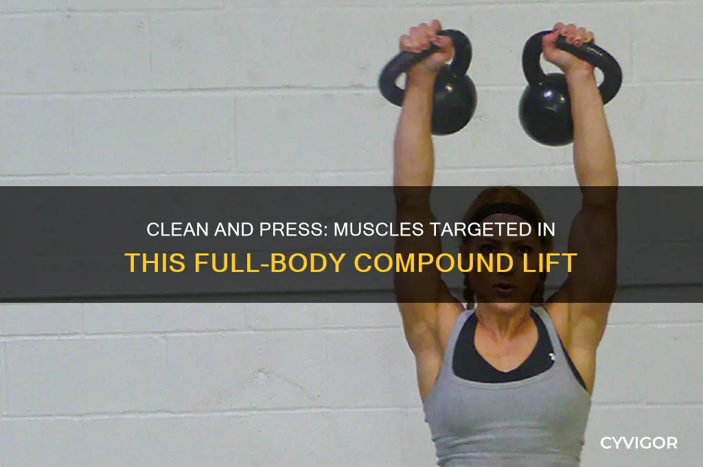 what muscles are worked in clean and press