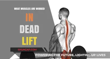 Deadlift Muscles: Unlocking Full-Body Strength and Engagement