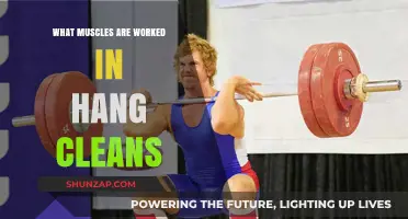 Hang Cleans: Targeted Muscles and Full-Body Benefits Explained