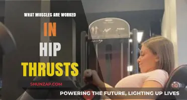 Hip Thrusts: Targeted Muscles for Glute Strength and Power
