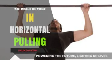 Horizontal Pulling: Targeted Muscles for Strength and Posture Improvement