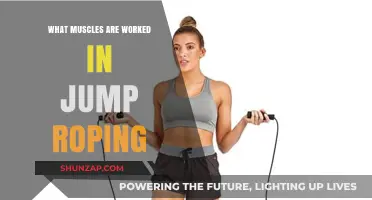 Jump Rope Workout: Targeted Muscles and Full-Body Benefits Revealed