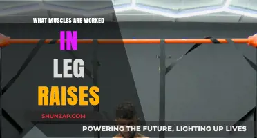 Leg Raises: Targeted Muscles for Core and Lower Body Strength