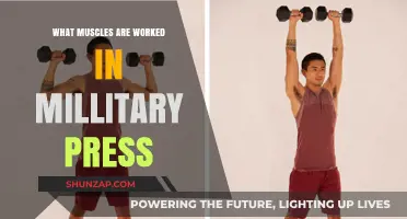 Military Press Muscles: Targeted Upper Body Strength Training Explained