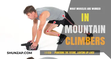 Mountain Climbers: A Full-Body Workout Targeting Core, Legs, and Shoulders