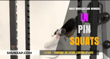 Pin Squats: Targeting Key Muscles for Strength and Stability