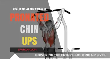 Pronated Chin-Ups: Targeted Muscles and Benefits Explained