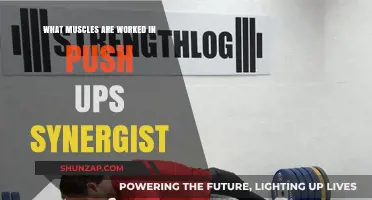 Push-Up Power: Synergist Muscles Engaged in Every Repetition